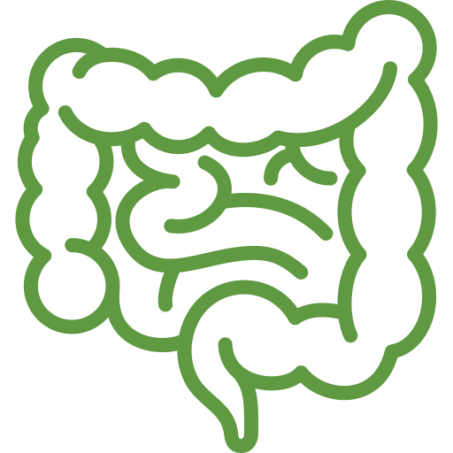 Bowel